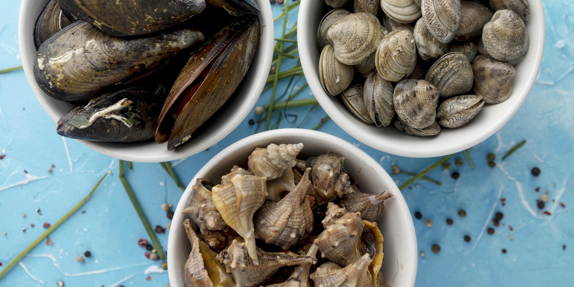 Marisco fresco gallego: mejillones, almejas y caracolillos del Atlántico listos para cocinar.